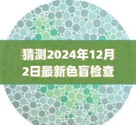 2024年12月4日 第22页