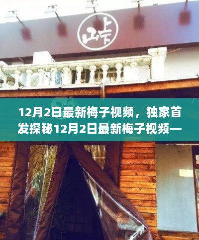 12月2日独家首发，探秘隐匿小巷的特色小店——最新梅子视频别样风情之旅