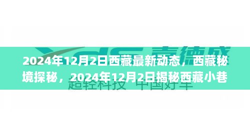 2024年12月2日西藏秘境探秘，揭秘小巷中的特色小店最新动态