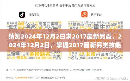 2024年12月2日，掌握2017最新另类技能全攻略的猜测与探索