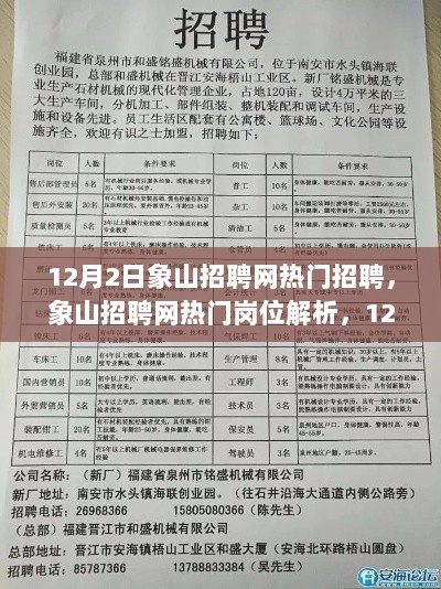 12月2日象山招聘网热门岗位解析与就业市场概览