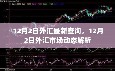 12月2日外汇市场动态解析与最新汇率查询