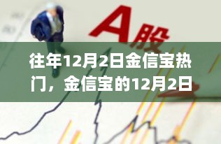 金信宝的自信与成就，变化中的12月2日