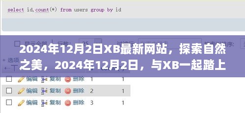 2024年12月2日XB自然探索之旅，与您共赴心灵之旅的最新网站