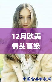 12月欧美情头，时尚与浪漫的完美融合高级精选