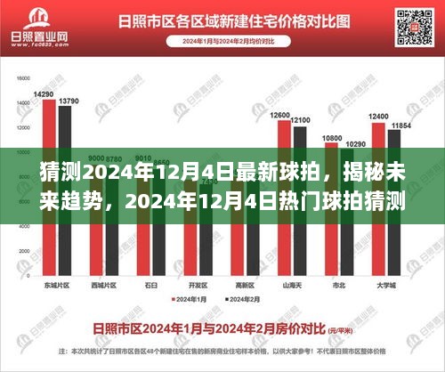 2024年12月热门球拍市场前瞻与未来趋势揭秘