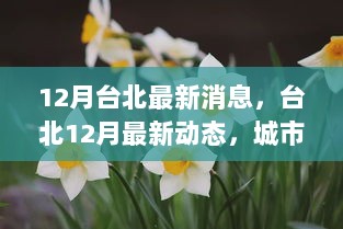 台北12月城市发展与文化传承的平衡探讨最新动态