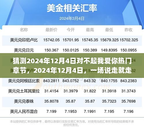 2024年12月4日，寻找对不起我爱你的风景之旅