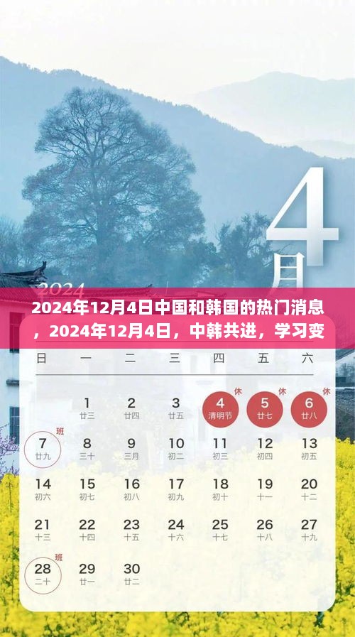 2024年12月4日中韩共进，学习变化，自信成就未来的热门消息