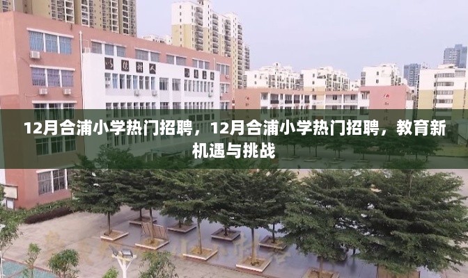 12月合浦小学热门招聘，教育新机遇与挑战的交汇点