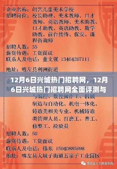 12月6日兴城热门招聘网的全面评测与介绍