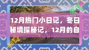 12月冬日秘境探秘记，自然之旅的小日记