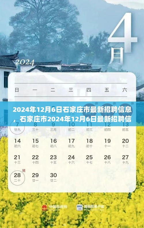 2024年12月6日石家庄市招聘信息，时代变迁下的城市脉搏与求职热潮