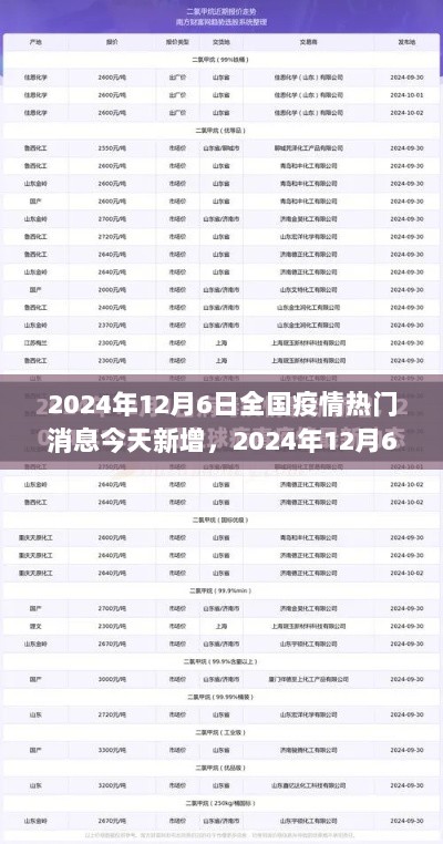 2024年12月6日全国疫情最新动态与新增病例解析