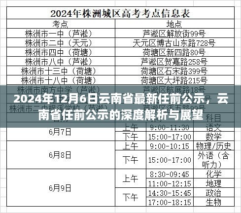 2024年云南省任前公示深度解析与展望