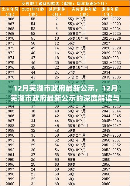 12月芜湖市政府最新公示的深度解读与思考，政策导向下的城市发展新动向