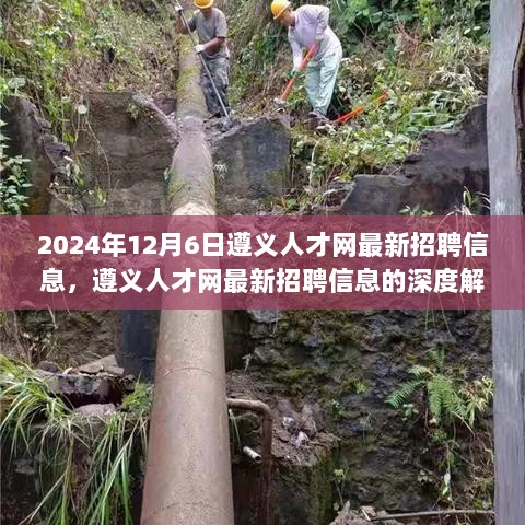 2024年遵义人才网最新招聘信息深度解读与人才发展策略