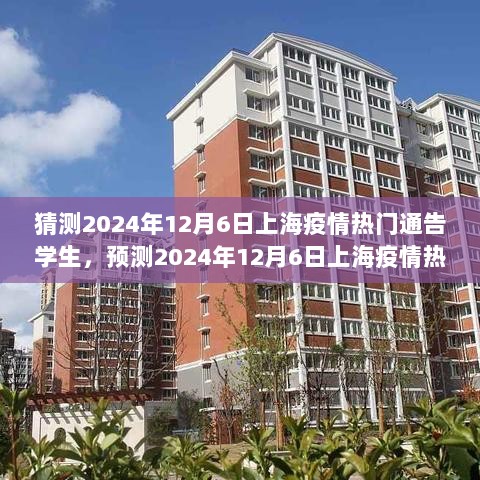 2024年12月6日上海疫情热门通告与学生视角的深度分析