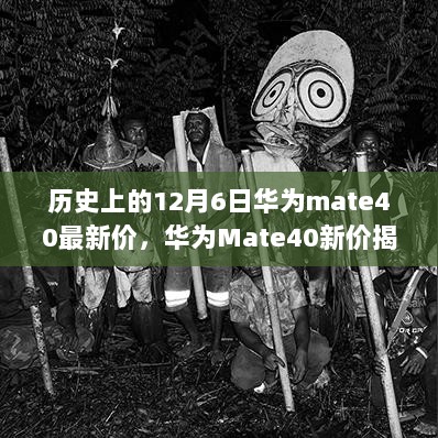 华为Mate40新价揭晓，12月6日价格动态与自然之旅共舞