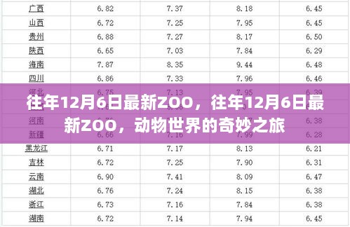 往年12月6日动物世界奇妙之旅，最新ZOO的探索