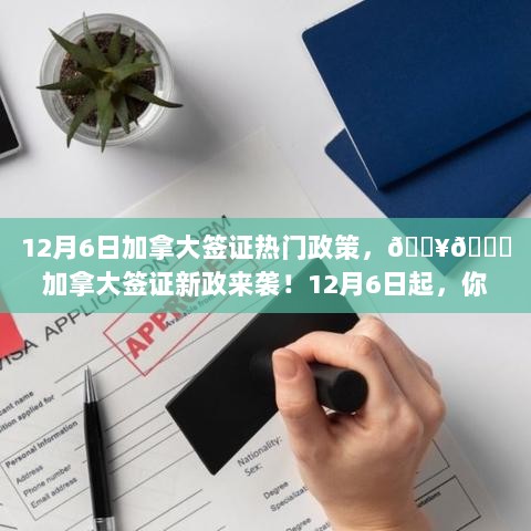 加拿大签证新政大揭秘，12月6日起的签证申请大变革！