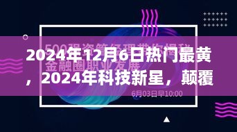 2024年12月7日 第11页