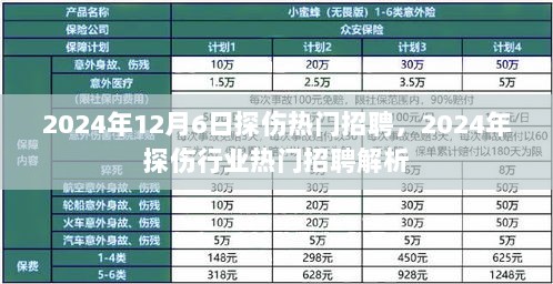 2024年探伤行业热门招聘解析与趋势洞察