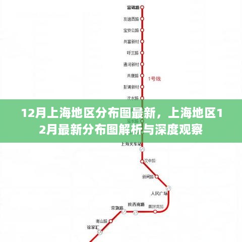 12月上海地区最新分布图解析与深度观察