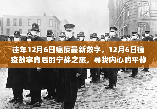 12月6日瘟疫数字背后的宁静之旅，寻找内心的平静与大自然的馈赠