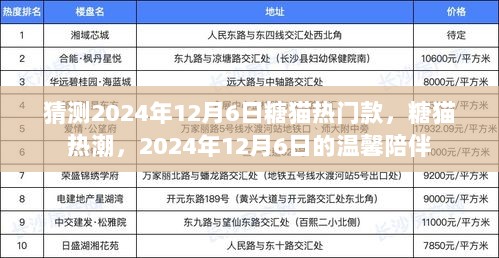 2024年12月6日糖猫热潮，预测热门款式与温馨陪伴的交汇点