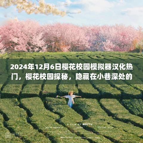 2024年樱花校园模拟器汉化热门小店探秘，隐藏在小巷深处的热门之选