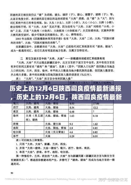 历史上的12月6日，陕西阎良疫情最新通报与应对步骤指南解析