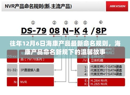 海康产品命名新规下的温馨故事，往年12月6日的记忆与变迁