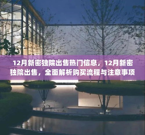 12月新密独院出售，全面解析购买流程与注意事项