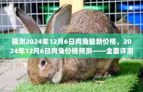 2024年12月6日肉兔价格预测——全面深度分析与市场洞察