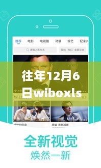 警惕非法软件，勿触法律红线，远离12月6日Wiboxls热门VIP破解版