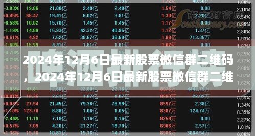 2024年12月6日最新股票微信群二维码获取与使用指南