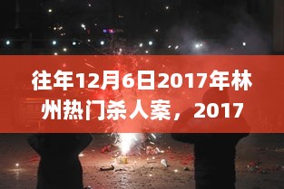 2017年林州热门杀人案深度解析与反思，历史事件的警示与教训