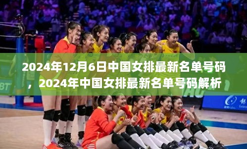 2024年中国女排最新名单号码解析