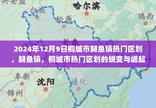 2024年桐城市鲟鱼镇蜕变崛起之路，热门区划的演变与繁荣