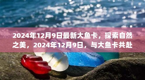 2024年12月9日大鱼卡，探索自然之美，共赴心灵之旅