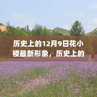 历史上的12月9日，花小楼最新形象DIY全攻略