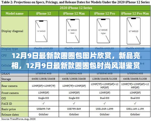 12月9日最新款圈圈包，时尚风潮鉴赏与图片欣赏的新品亮相