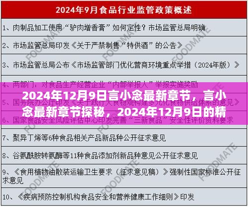 言小念最新章节探秘，2024年12月9日的精彩展望