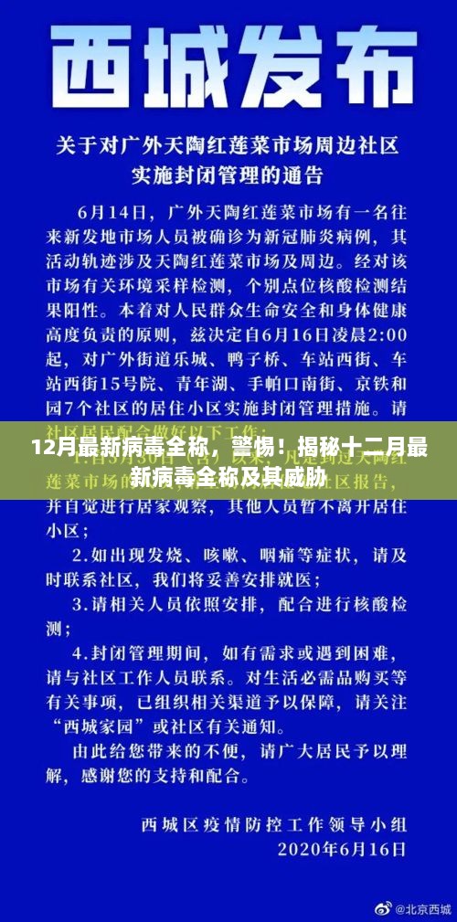 警惕！揭秘十二月最新病毒全称及其威胁来袭