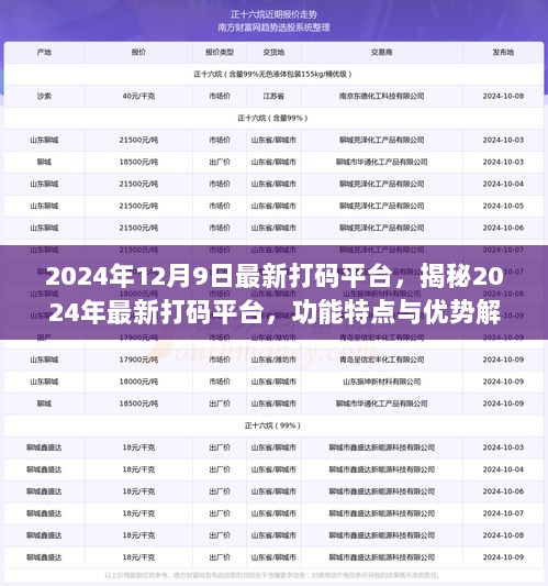 揭秘2024年最新打码平台，功能特点与优势解析