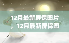 2024年12月10日 第14页