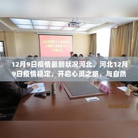 河北12月9日疫情稳定，开启心灵与自然共舞之旅