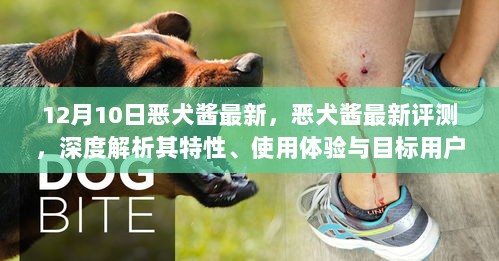 恶犬酱最新评测，特性深度解析、使用体验与目标用户群体探讨