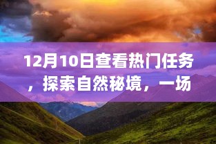 12月热门任务，探索自然秘境，寻找内心平静的旅程挑战开启！